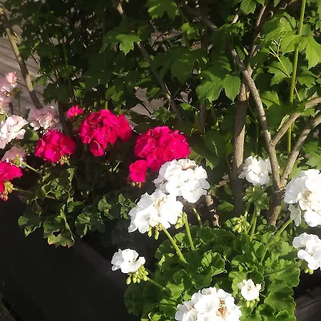 Berse 3* Borgo Val di Taro