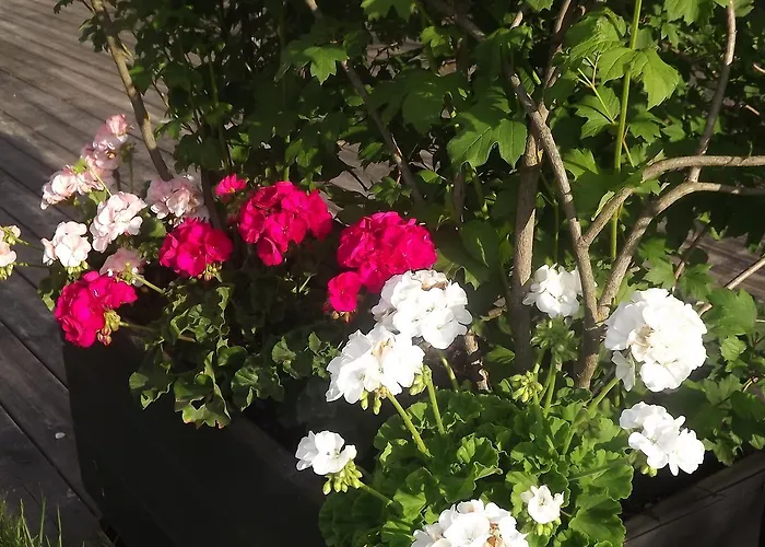 Berse 3* Борго-Валь-ди-Таро